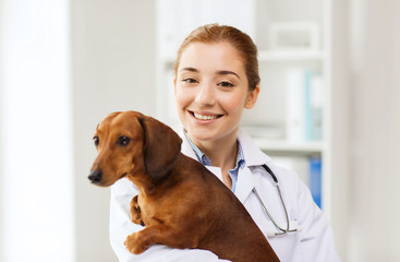 Poster - happy doctor with dog at vet clinic