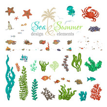 Vector Set Of Underwater Sea Life Design Elements.