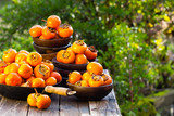 Orange persimmon kaki fruits in clay plates. garden