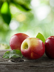 Poster - close up view of nice fresh apples on color background