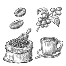 Sack With Coffee Beans With Wooden Scoop And Beans, Cup, Branch With Leaf And Berry.