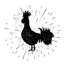 Rooster Label. Vintage Style Cock Illustration On Hand Drawn Sunburst Background Or Sun Ray Frame In Vintage Hipster Style. Badge Or Burst, Radial. . Ink Brush Painting Imitation With Splashes.