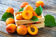 Organic apricots with leaves on wooden background