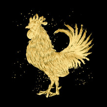 Golden Rooster On Black Background. Chinese Calendar Zodiac For 2017 New Year Of Rooster. Rooster Golden Silhouette. Hand Painting Of Rooster With Chinese Traditional Calligraphy Brushes. Gold Foil.
