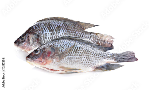 Gutted And Scaled Nile Tilapia Fish On White Background Gutted And Scaled Nile Tilapia Fish On White Background