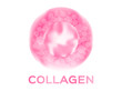 collagen vector , collagen icon and logo