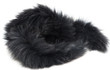 black fur on a white background