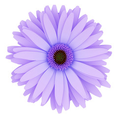 Wall Mural - top view of purple flower isolated on white background. 3d illus