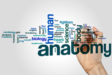 Wall Mural - Anatomy word cloud