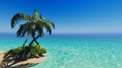 Tropical blue sea palms