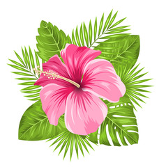 Wall Mural -  Beautiful Pink Hibiscus Flowers Blossom and Tropical Leaves