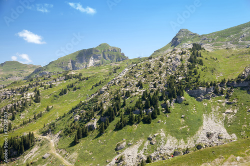 Fotografie, Obraz The view of european mountains in summertime