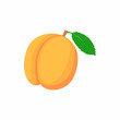 Fresh apricot icon in cartoon style