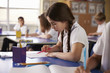 © Monkey Business - Primary school girl working at her desk in class