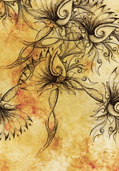 Poster - Color drawing of ornamental flower structure. Original hand drawn and computer collage. Color structure.