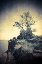 Lone Withered Tree On Cliff Edge With Vintage Texture Effect.