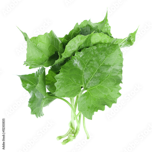 Pile of green leaves isolated on white Buy this stock photo and