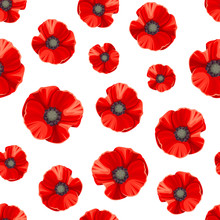 Vector Seamless Pattern With Red Poppies On A White Background.