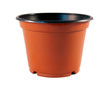 © ojimoreno - Plastic flower pot