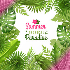 Sticker - Tropical Foliage Decorative Background Frame 