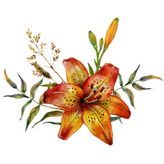  Watercolor Tiger lily