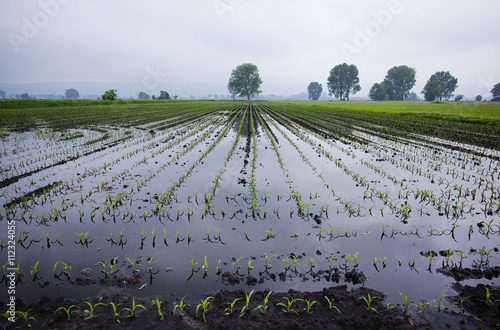 Zdjęcie XXL Powódź powoduje ogromne szkody dla rolników