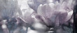 © bittedankeschön - tulpen dunkelgrau konzept