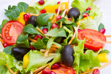 mixed salad with tomatoes in white plate on wood table