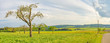 canvas print picture - green meadow with fruit trees panorama - rural landscape