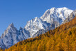 Monte Bianco e larici in autunno