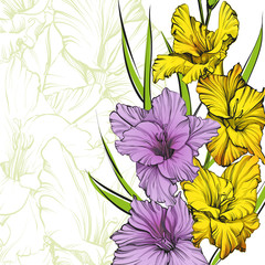 Wall Mural - floral blooming gladiolus hand drawn vector illustration sketch