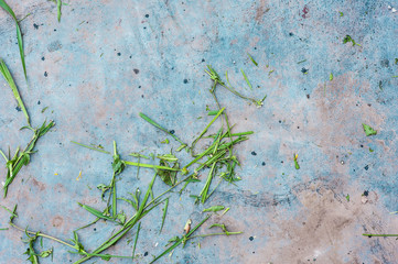 Dirty rubber mat, painted with blue paint and grass on it