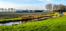 Colorful Polder Landscape With Meandering Stream
