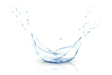 water. water splash isolated. blue water mesh gradient vector.