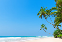 Idyllic Tropical Beach With Clean White Ocean Sand And Palm Trees Over The Water With Clear Blue Sky