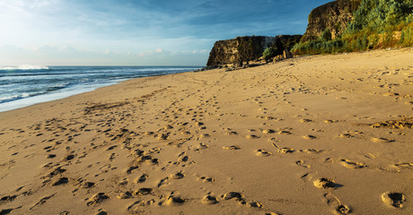 Wall Mural - Sandy beach with footprints