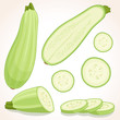 Fresh zucchini isolated on background. Vector illustration. Squash whole, half and sliced.