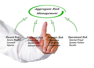 Wall Mural -  Diagram of Aggregate Risk Management