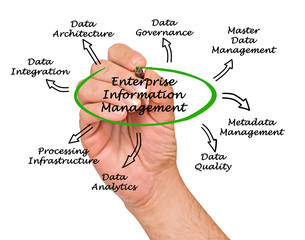 Wall Mural - diagram of enterprise information management