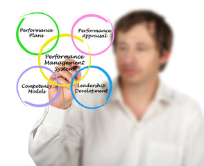 Sticker - Diagram of Performance Management System