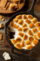 Wall Mural - Homemade S'mores Dip with Graham Crackers