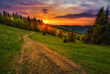 Fototapeta Krajobraz - Path in polish mountains