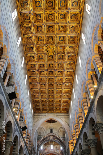 Beautiful ceiling of the Pisa Cathedral (Duomo di Pisa) on Piazz Canvas-taulu