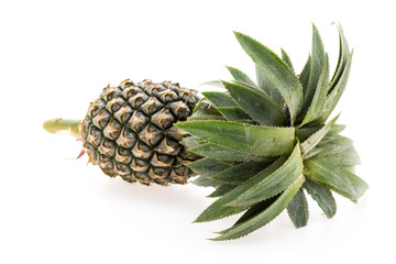 Wall Mural - Pineapple