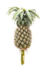 Wall Mural - Pineapple