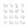 vector thin line farm animals icons set