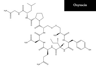 Canvas Print - Molecular structure of Oxytocin