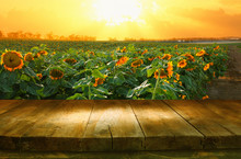 Empty Wooden Table In Front Of Field Of Sunflowers