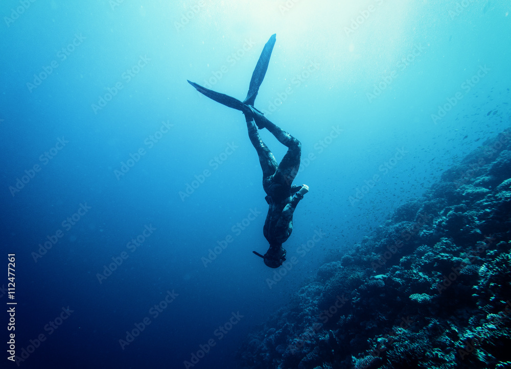 Freediver swim in the sea - obrazy, fototapety, plakaty 