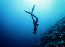 Freediver Swim In The Sea